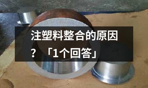 注塑料整合的原因?「1个回答」
