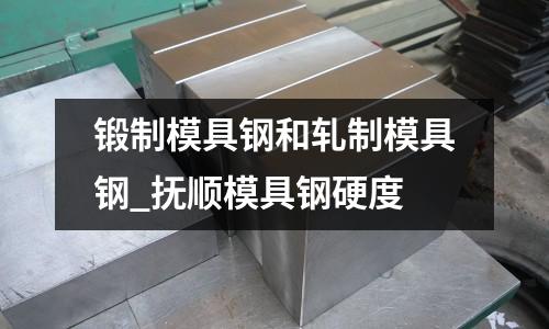 锻制模具钢和轧制模具钢_抚顺模具钢硬度