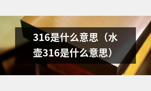 316是什么意思(水壶316是什么意思)
