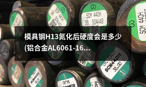 模具钢H13氮化后硬度会是多少(铝合金AL6061-16是铝和什么的合金)