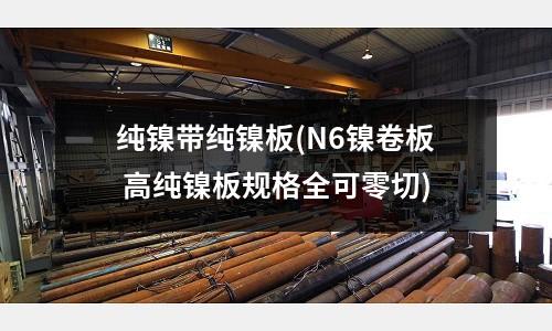 纯镍带纯镍板(N6镍卷板 高纯镍板规格全可零切)