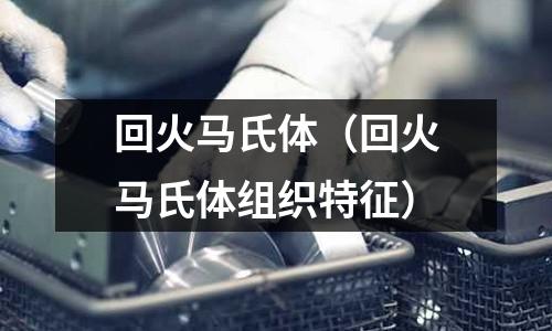 回火马氏体(回火马氏体组织特征)