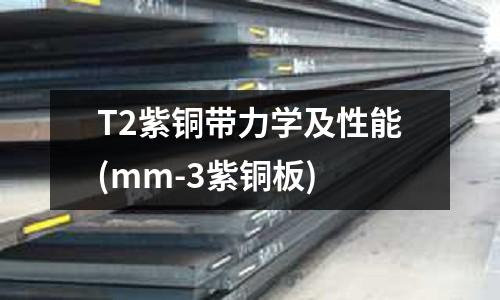 T2紫铜带力学及性能(mm-3紫铜板)