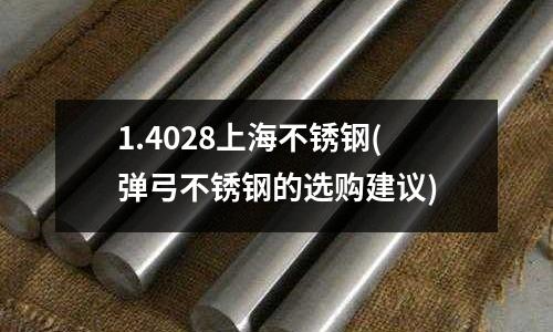 1.4028上海不锈钢(弹弓不锈钢的选购建议)