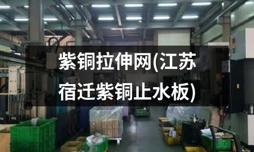紫铜拉伸网(江苏宿迁紫铜止水板)