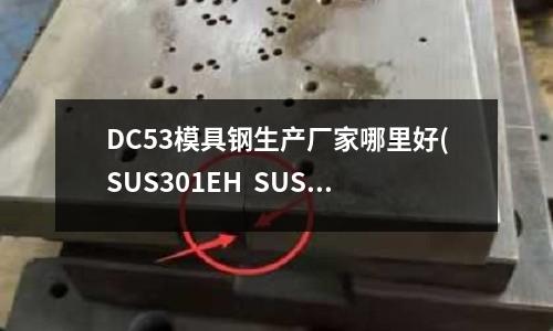 DC53模具钢生产厂家哪里好(SUS301EH SUS301SH 区别 具体含义)
