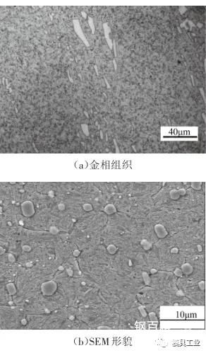 深冷处理后SKD11钢组织与冲击磨料磨损机理研究