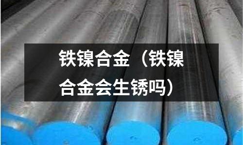 铁镍合金(铁镍合金会生锈吗)