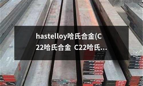 hastelloy哈氏合金(C22哈氏合金 C22哈氏合金板)