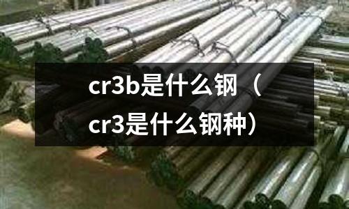cr3b是什么钢(cr3是什么钢种)