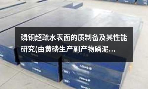 磷铜超疏水表面的质制备及其性能研究(由黄磷生产副产物磷泥制备磷铜实验研究)