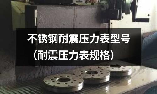 不锈钢耐震压力表型号(耐震压力表规格)