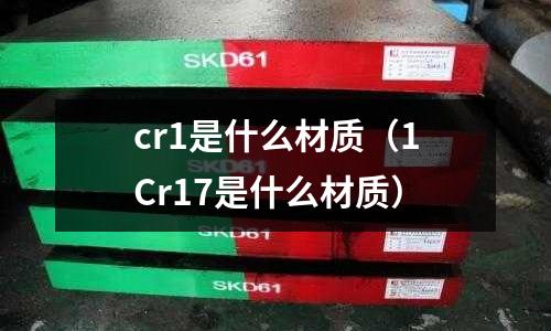 cr1是什么材质(1Cr17是什么材质)