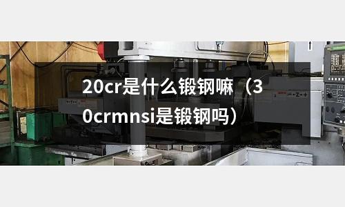20cr是什么锻钢嘛(30crmnsi是锻钢吗)