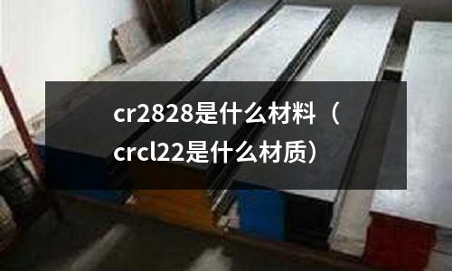 cr2828是什么材料(crcl22是什么材质)