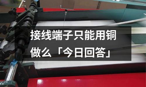 接线端子只能用铜做么「今日回答」