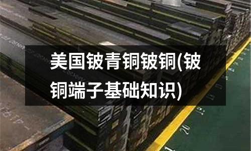 美国铍青铜铍铜(铍铜端子基础知识)