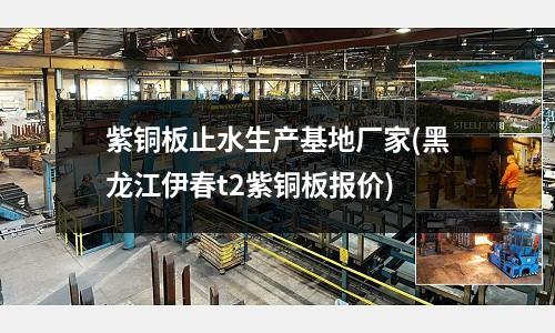 紫铜板止水生产基地厂家(黑龙江伊春t2紫铜板报价)