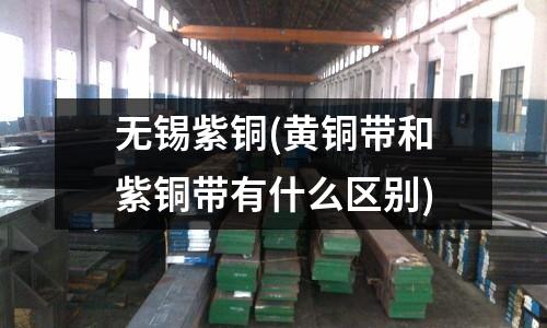 无锡紫铜(黄铜带和紫铜带有什么区别)