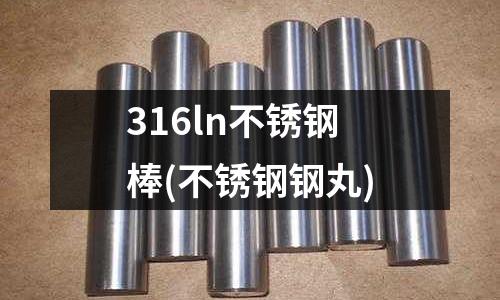 316ln不锈钢棒(不锈钢钢丸)