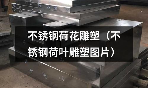 不锈钢荷花雕塑(不锈钢荷叶雕塑图片)