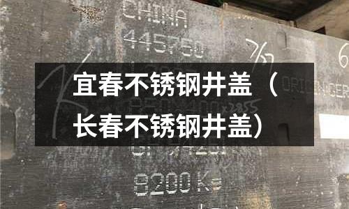 宜春不锈钢井盖(长春不锈钢井盖)