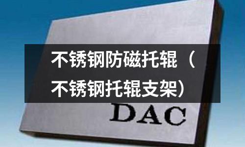 不锈钢防磁托辊(不锈钢托辊支架)