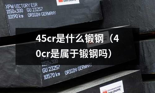 45cr是什么锻钢(40cr是属于锻钢吗)