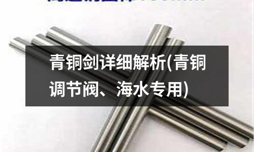 青铜剑详细解析(青铜调节阀、海水专用)