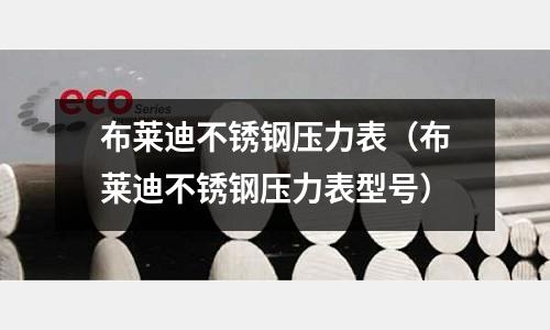 布莱迪不锈钢压力表(布莱迪不锈钢压力表型号)