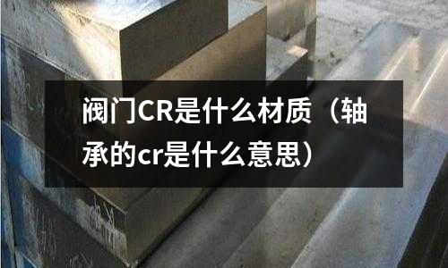 阀门CR是什么材质(轴承的cr是什么意思)