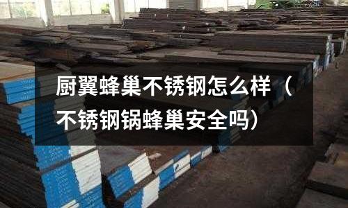 厨翼蜂巢不锈钢怎么样(不锈钢锅蜂巢安全吗)