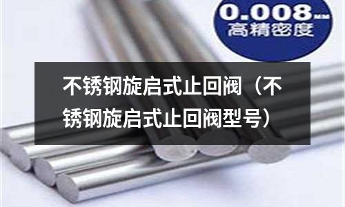 不锈钢旋启式止回阀(不锈钢旋启式止回阀型号)