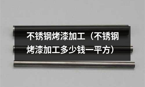 不锈钢烤漆加工(不锈钢烤漆加工多少钱一平方)