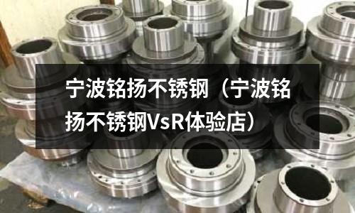 宁波铭扬不锈钢(宁波铭扬不锈钢VsR体验店)