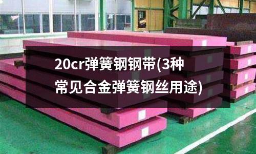 20cr弹簧钢钢带(3种常见合金弹簧钢丝用途)