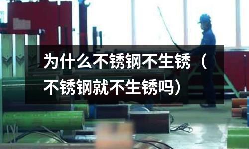 为什么不锈钢不生锈(不锈钢就不生锈吗)