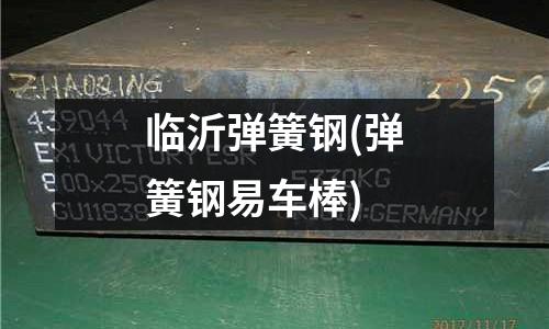 临沂弹簧钢(弹簧钢易车棒)