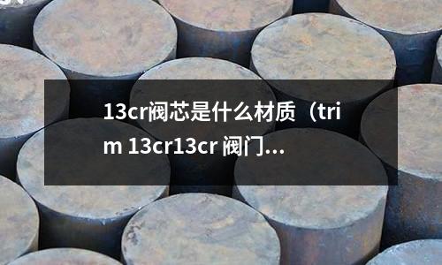 13cr阀芯是什么材质(trim 13cr13cr 阀门)