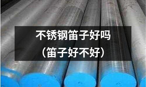 不锈钢笛子好吗(笛子好不好)