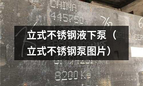 立式不锈钢液下泵(立式不锈钢泵图片)