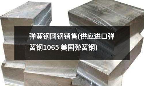 弹簧钢圆钢销售(供应进口弹簧钢1065 美国弹簧钢)