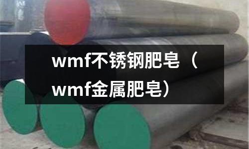 wmf不锈钢肥皂(wmf金属肥皂)