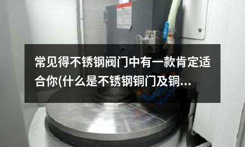 常见得不锈钢阀门中有一款肯定适合你(什么是不锈钢铜门及铜门材质分类)