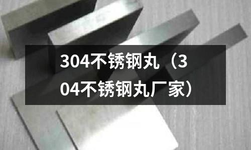 304不锈钢丸(304不锈钢丸厂家)