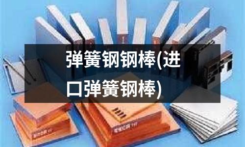 弹簧钢钢棒(进口弹簧钢棒)