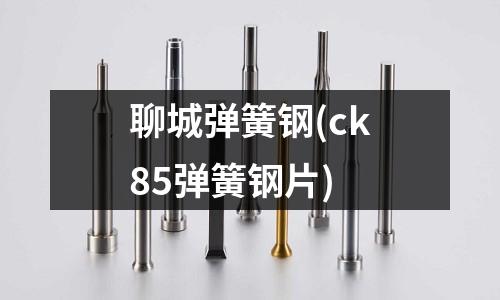 聊城弹簧钢(ck85弹簧钢片)