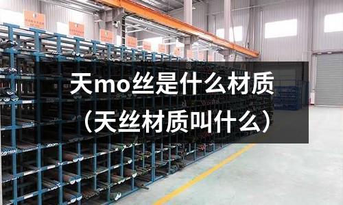 天mo丝是什么材质(天丝材质叫什么)
