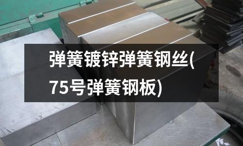 弹簧镀锌弹簧钢丝(75号弹簧钢板)