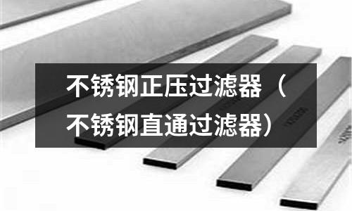不锈钢正压过滤器(不锈钢直通过滤器)